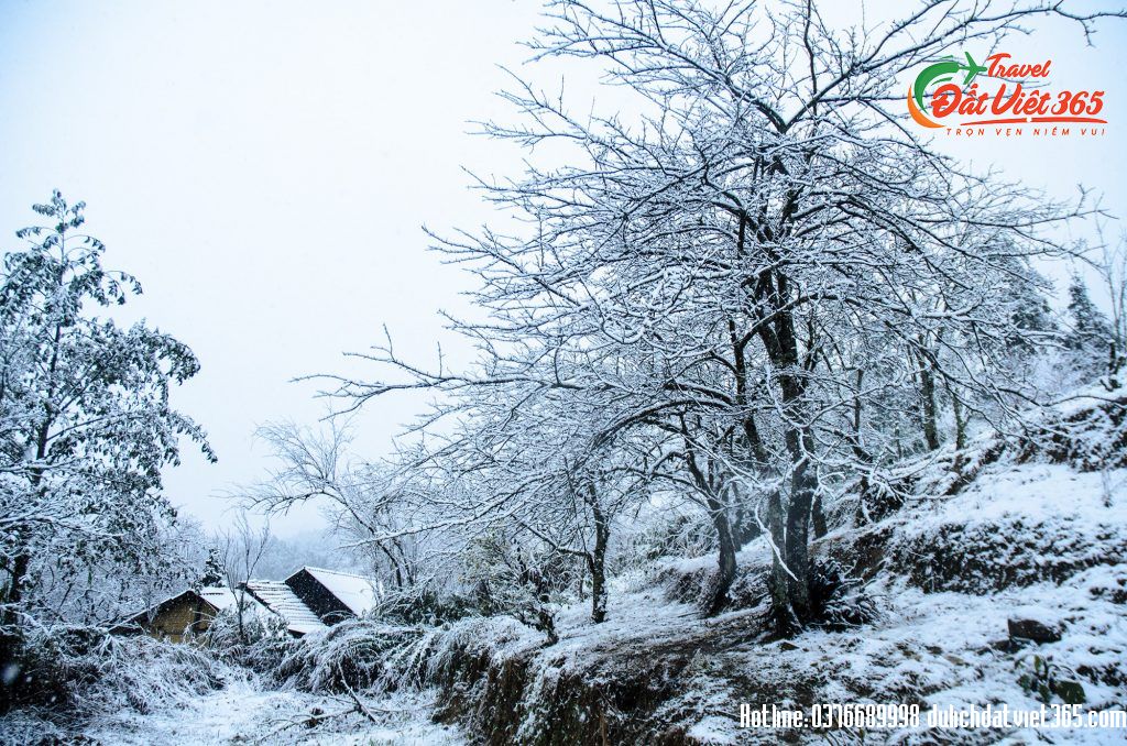 du-lich-mien-bac-4-ngay-3-dem-dulichdatviet (7)