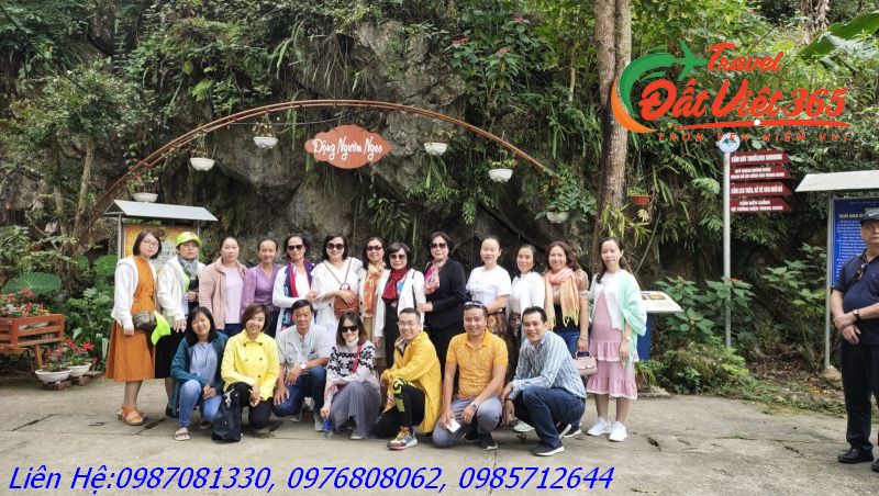 2b7dd39747e7b6b9eff6_800x452.jpg_result