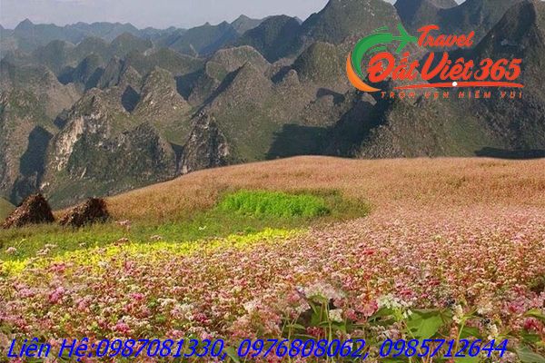 camnhi-190617010628-ha-giang-hoa-tam-giac-mach-1 (fileminimizer)_result