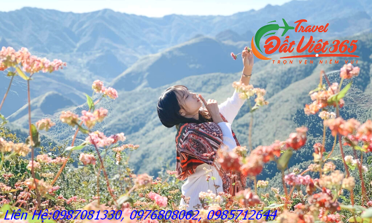 tours-du-lich-ha-giang-meditours_result