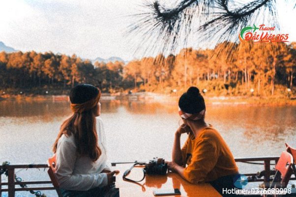rừng thông bản áng