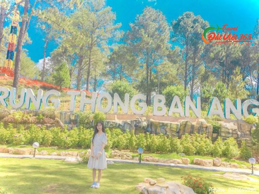 rừng thông bản áng