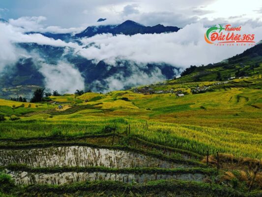 tour du lịch y tý 