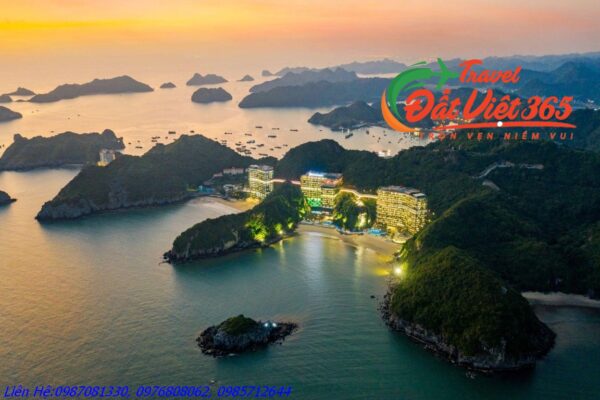 Tour Du Lịch Flamingo Cát Bà 2 ngày 1 đêm