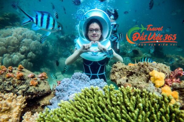 tuor du lịch phú quốc 2 ngày 1 đêm giá rẻ