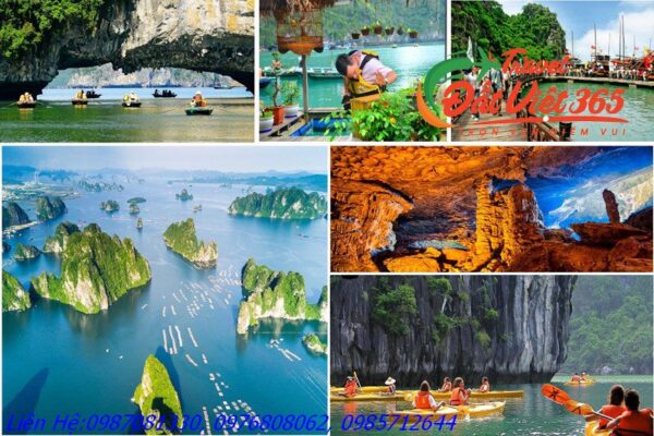 Tour du lịch Hạ Long 3N2 Teambuiding Galadiner 2024