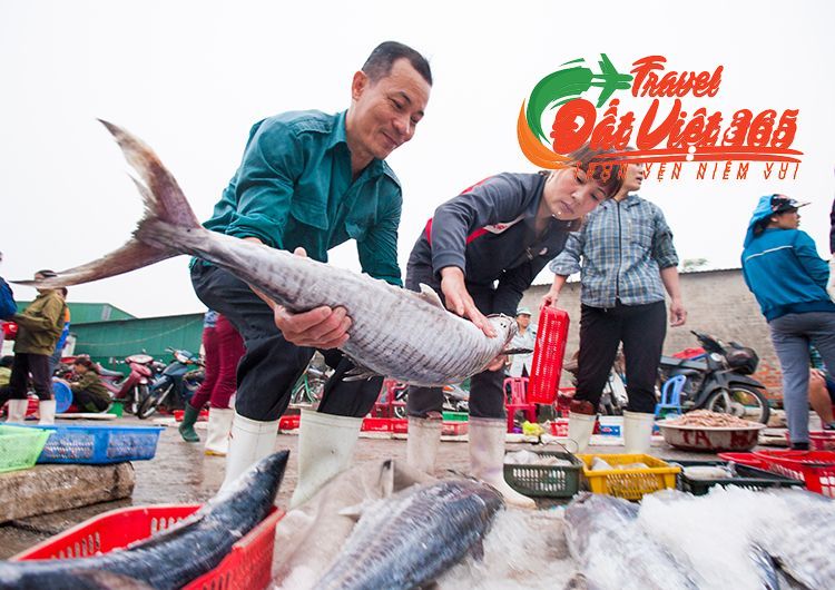 chocualo-a2_result_result