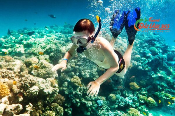 DU LỊCH CÁP TREO HÒN THƠM- PHÚ QUỐC- 4 ĐẢO