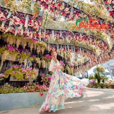 Tour Du Lịch Singapore Malaysia 6 ngày 5 đêm Giá Rẻ