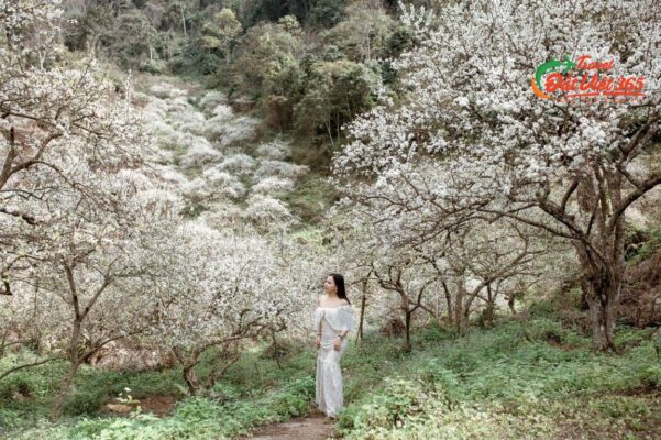 KINH NGHIỆM DU LỊCH TÂY BẮC - CẦN NHỮNG GÌ?
