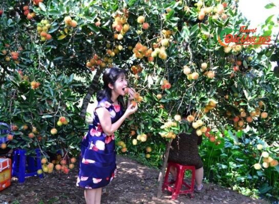 Tour Du Lịch Miền Tây 4 ngày 3 Đêm từ Hà Nội - Tphcm