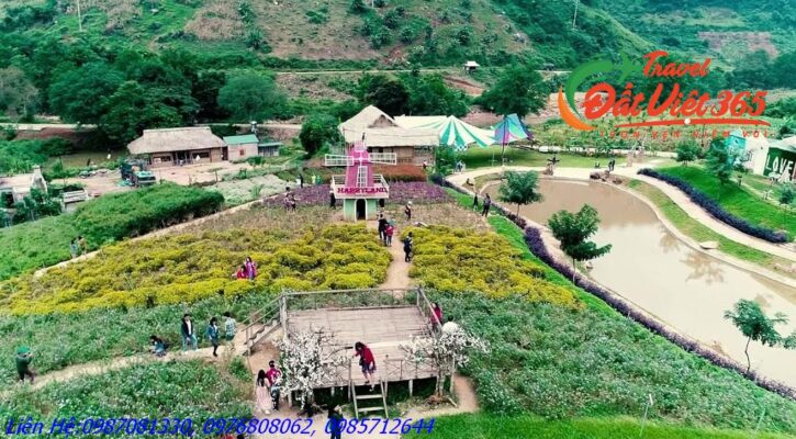 Tour du lịch Mộc Châu 2N1Đ tết 2024 giá rẻ