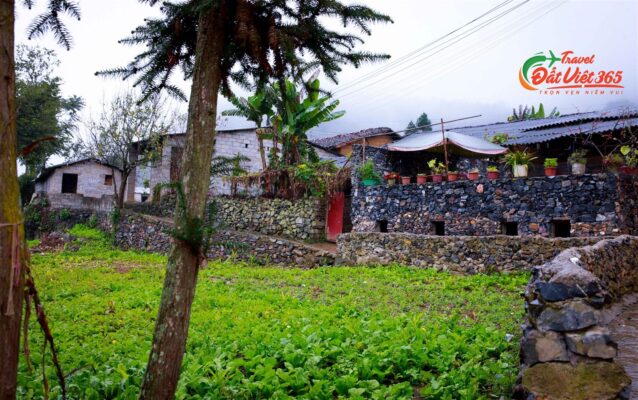 Tour ha giang - thai nguyen
