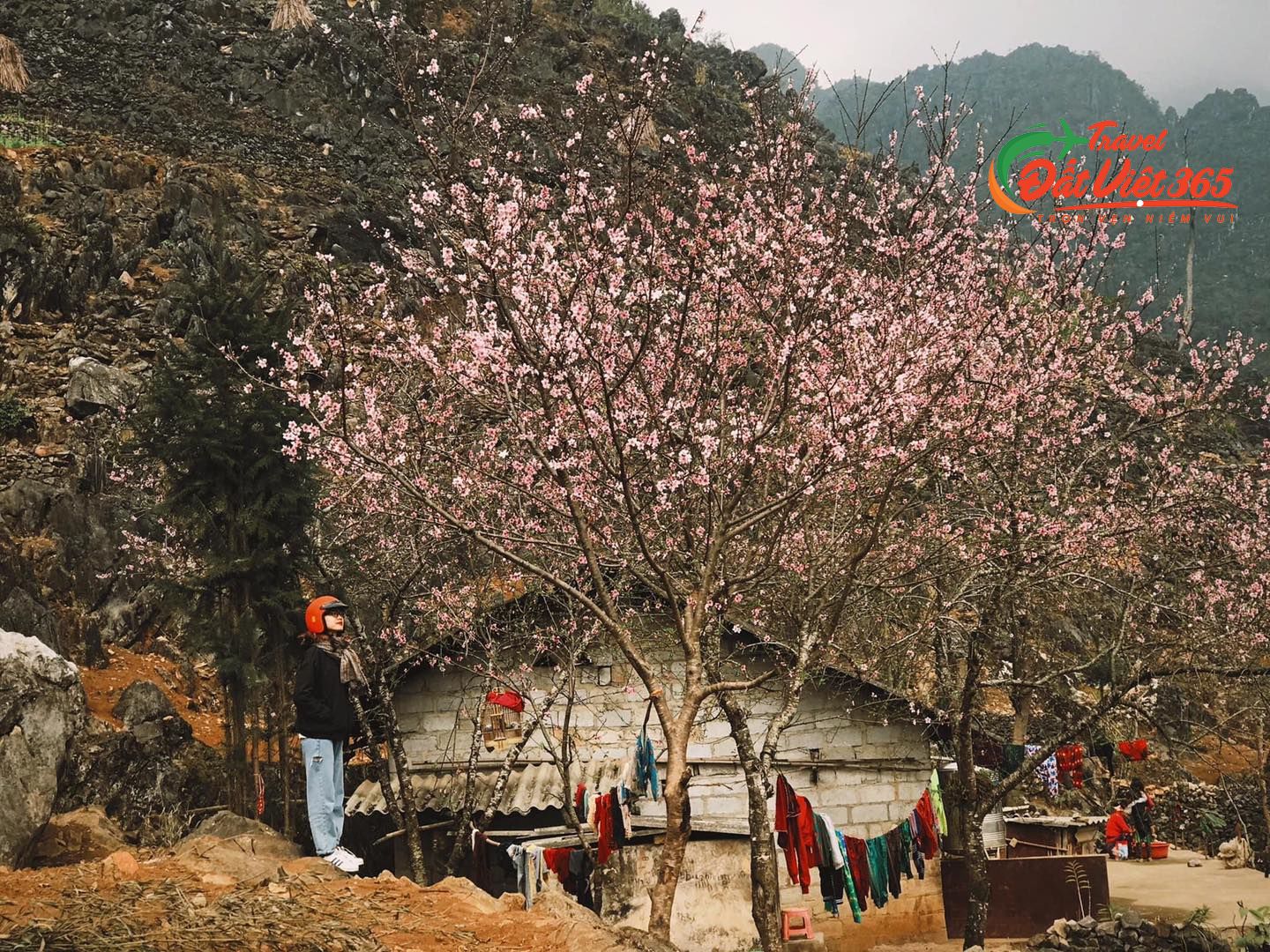 Tour Tết Hà Giang 3N2Đ Từ Bắc Ninh