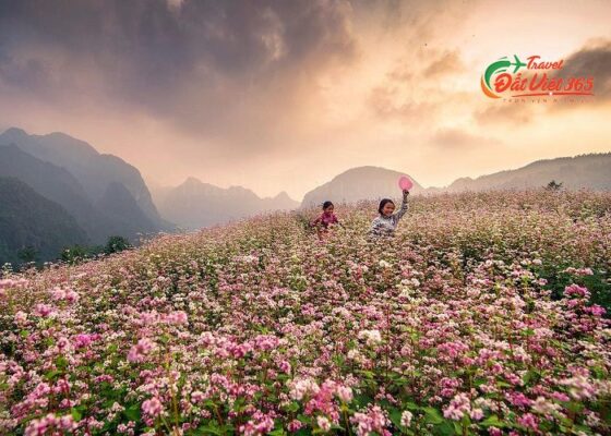 Kinh nghiệm du lịch ha giang