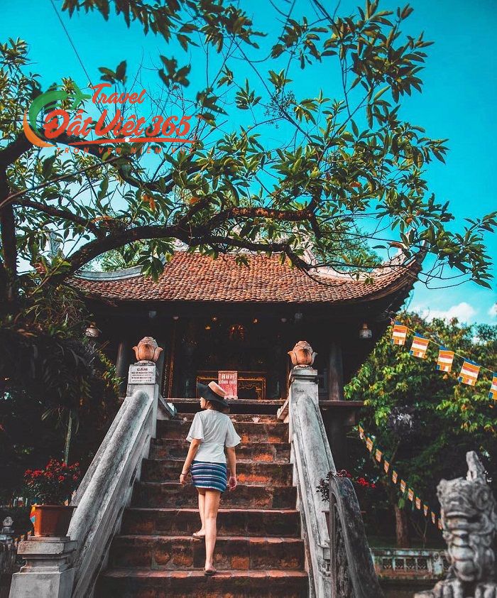 tour ha noi ninh binh 3n2d