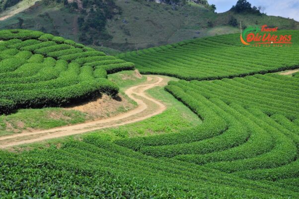 Tour Du Lịch Tây Bắc 5 Ngày 4 Đêm Giá Rẻ Từ Vũng Tàu