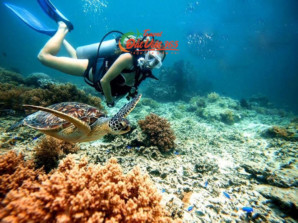 tour phu quoc tu nha trang 4 ngay.