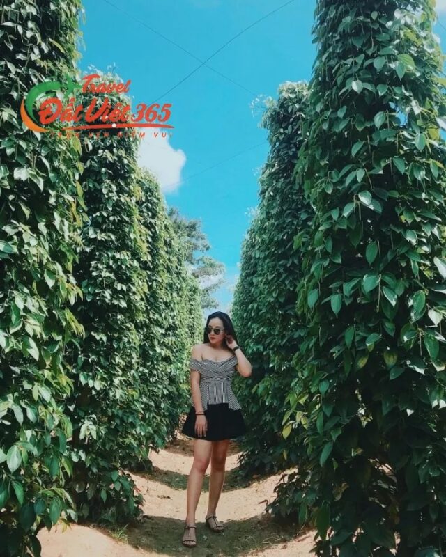 tour phu quoc tu quang ninh 4 ngay 3 dem