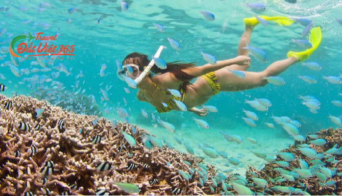 tour phu quoc tu quang ninh 4 ngay 3 dem.