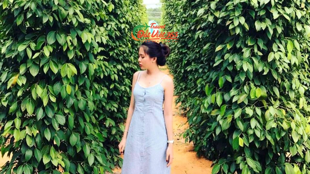 tour phu quoc tu nha trang 4 ngay.