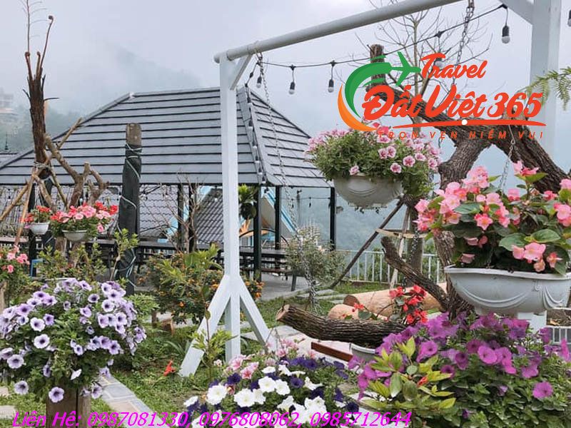 cau-may-homestay-tam-dao-3 (fileminimizer)_result