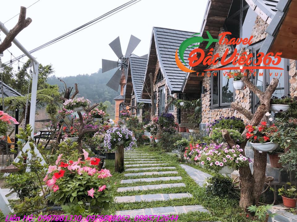 cau-may-homestay-tam-dao-ivivu-6_result