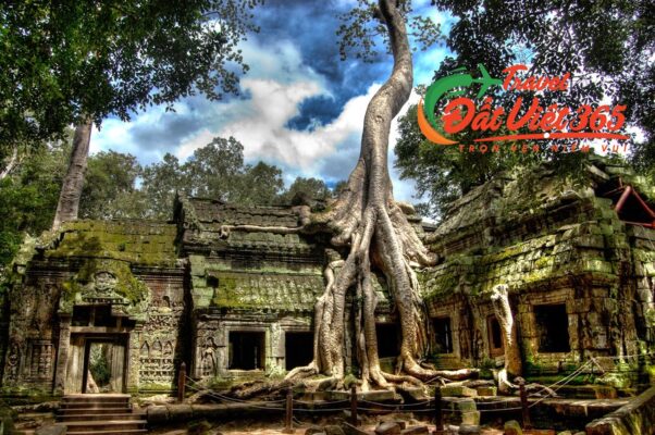 Tour Du Lịch Campuchia 5N4Đ từ tphcm Hà Nội 2024