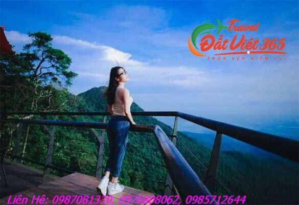 Kinh Nghiệm Du Lịch Tam Đảo 2023