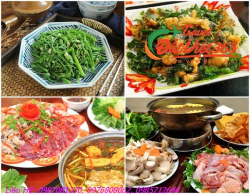 Tour Du Lịch Tam Đảo Từ Bắc Ninh 2 Ngày