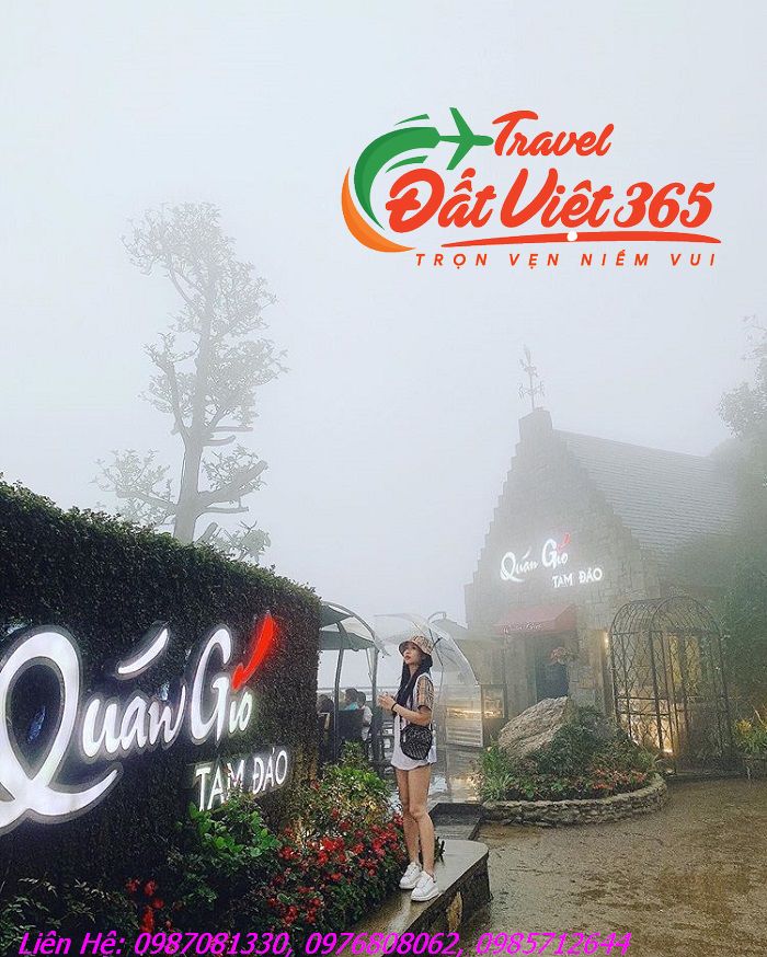 quan-gio-tam-dao-chim-trong-suong-mu_result