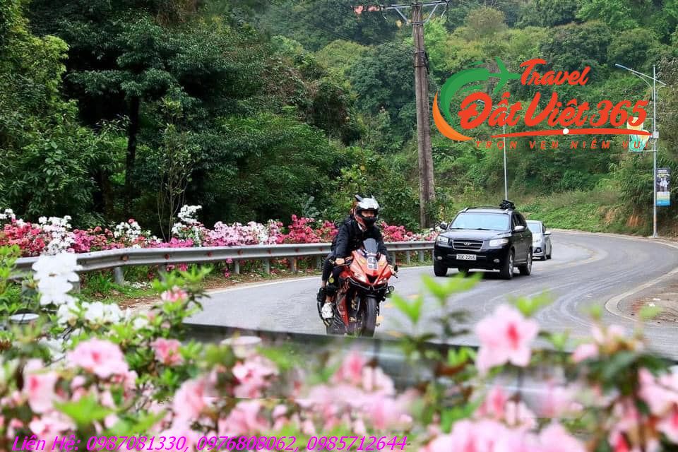 vuon-quoc-gia-tam-dao-2_result