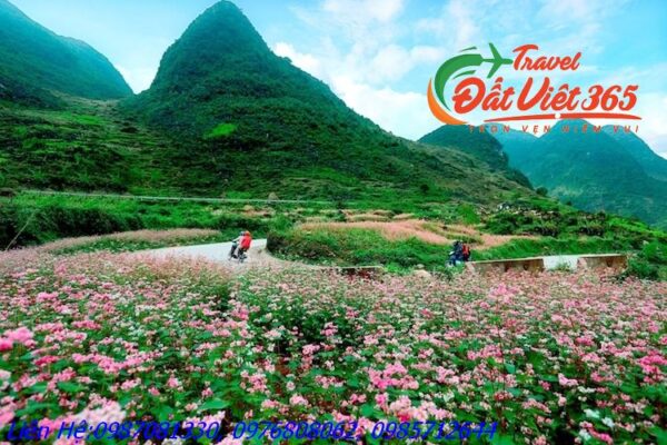 Tour du lịch Đông Bắc 5 ngày 4 đêm giá rẻ từ Cần Thơ