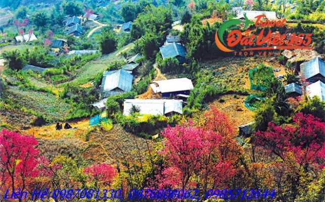 Tour du lịch Đông Bắc 5 ngày 4 đêm giá rẻ từ Đồng Nai