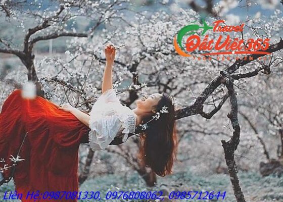 Tour Du Lịch Tây Bắc 5 Ngày 4 Đêm Giá Rẻ Từ Hà Nội