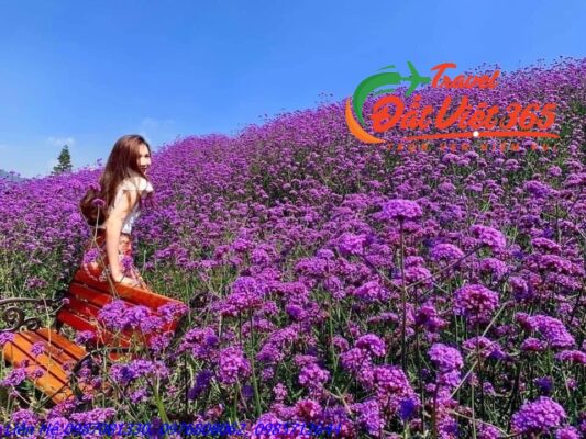 Tour Du Lịch Tây Bắc 5 Ngày 4 Đêm Giá Rẻ Từ Hưng Yên