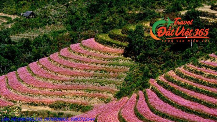 Tour du lịch Đông Bắc 5 ngày 4 đêm giá rẻ từ Vĩnh phúc