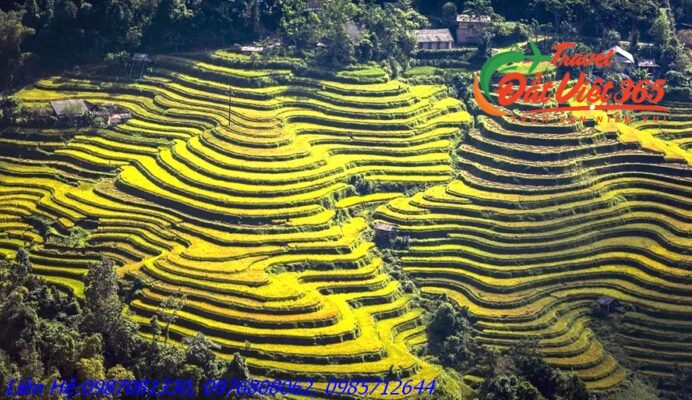 Tour Du Lịch Đông Bắc 6 Ngày 5 Đêm Giá Rẻ Từ Hà Nội 2024