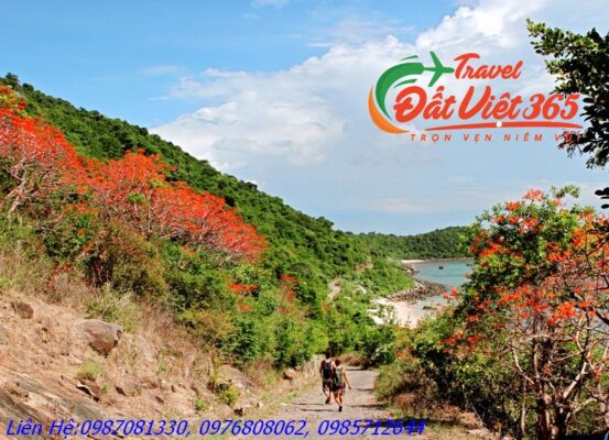 Du Lịch Đà Nẵng- Hội An- Huế 4 Ngày 3 Đêm Từ Vĩnh Phúc