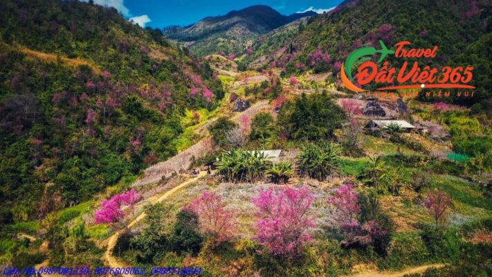 Tour Du Lịch Tây Bắc 6 Ngày 5 ĐÊM Giá Rẻ Từ TP HCM