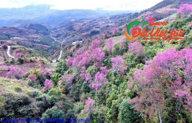 Tour Du Lịch Tây Bắc 5 Ngày 4 Đêm Giá Rẻ Từ Hưng Yên