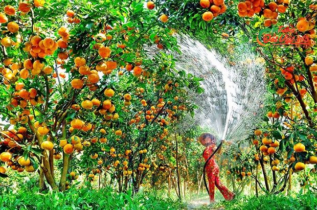 du lịch miền tây nên đi tỉnh nào