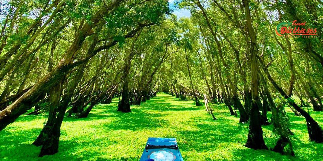 tour du lich mien tay 3 ngay 2 dem tu tphcm - ha noi dulichdatviet365 (13)