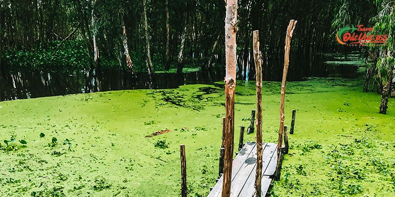 tour du lich mien tay 3 ngay 2 dem tu tphcm - ha noi dulichdatviet365 (15)