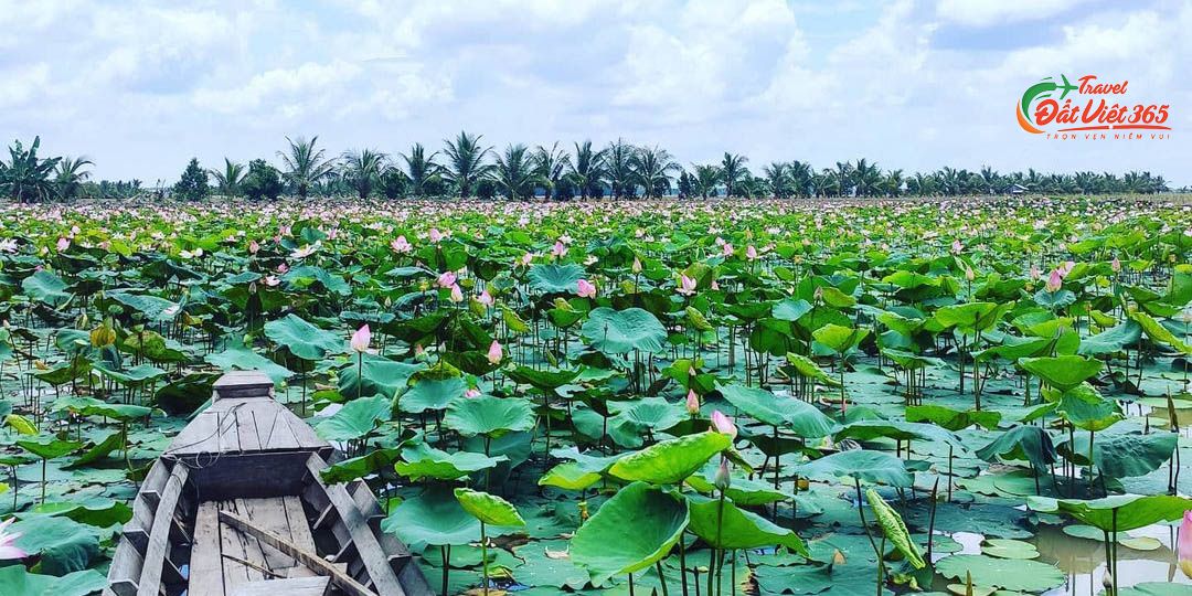 tour du lich mien tay 3 ngay 2 dem tu tphcm - ha noi dulichdatviet365 (17)