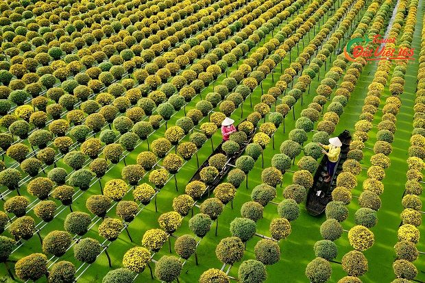 du lịch miền tây nên đi tỉnh nào