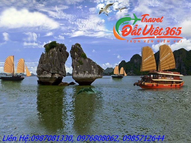 Tour du lịch Hạ Long 1 ngày giá rẻ từ Hà Nội tp HCM
