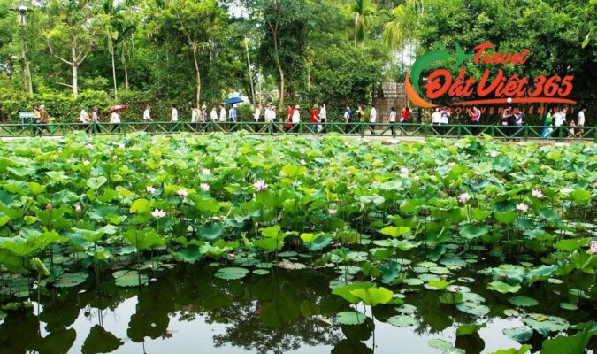 Du Lịch Teambuilding Cửa Lò 3 ngày 2 đêm từ Bắc Ninh