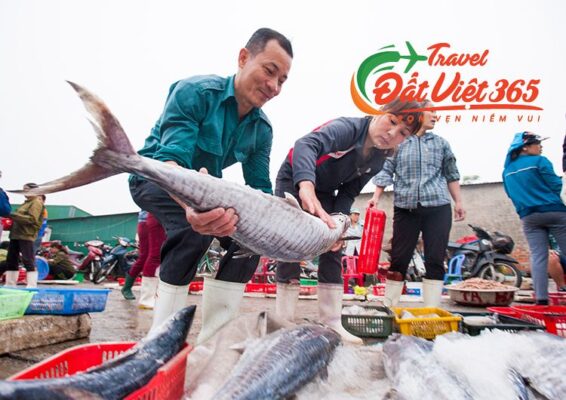 Du Lịch Cửa Lò Quê Bác Teambuilding- Galadinner 3 ngày