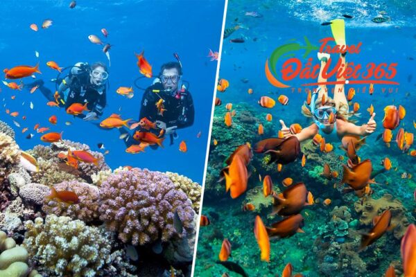 Tour Du Lịch Phú Quốc 3 ngày 2 đêm từ Hải Phòng
